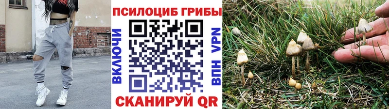 Псилоцибиновые грибы MAGIC MUSHROOMS  Белоозёрский 