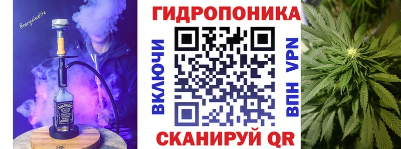 Бошки Шишки планчик  закладка  Белоозёрский 